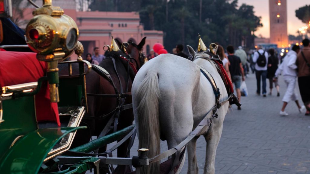 The Perfect Proposal in Marrakech