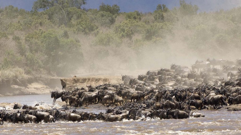 Where best to visit in Africa during the early summer months