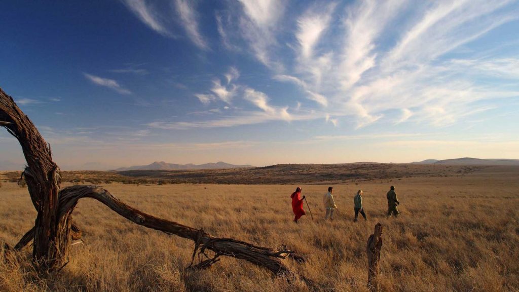 Understanding Conservation in Kenya