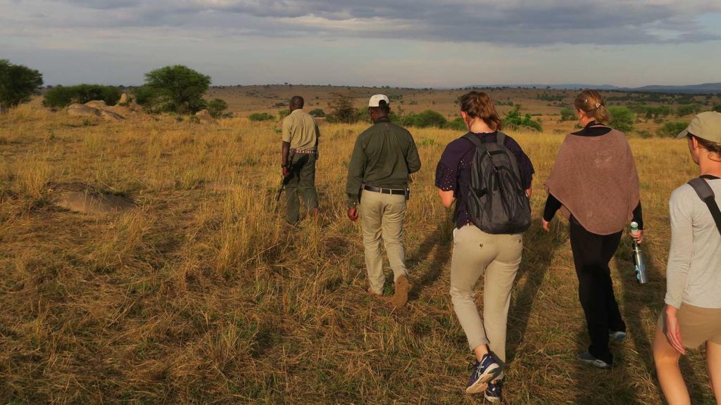 An unforgettable day in the northern Serengeti