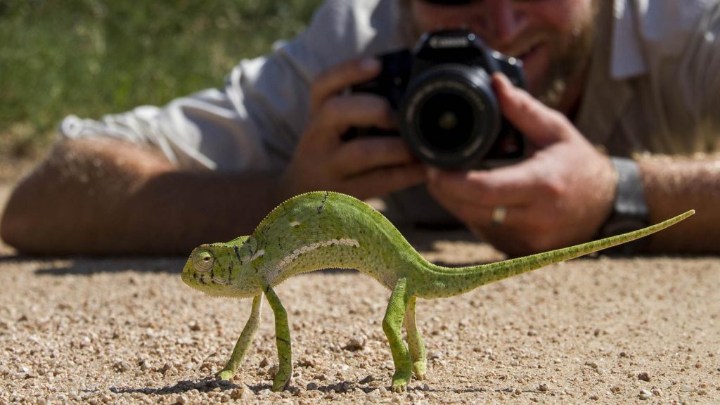 Lessons from Londolozi