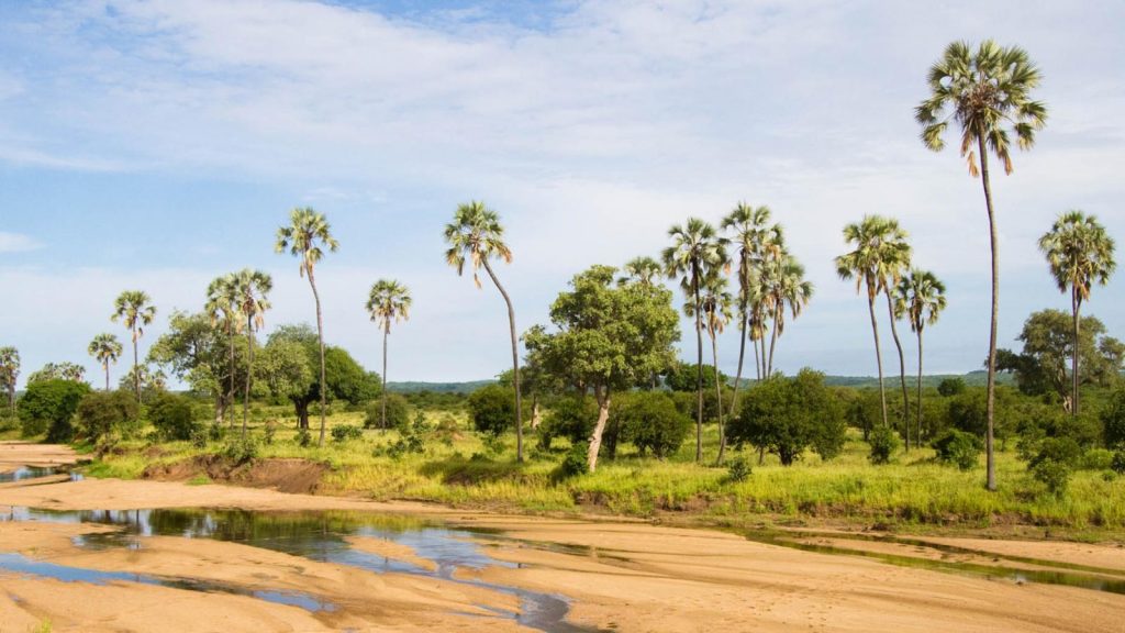 Our favourite places to stay in the north of Ruaha National Park, Tanzania