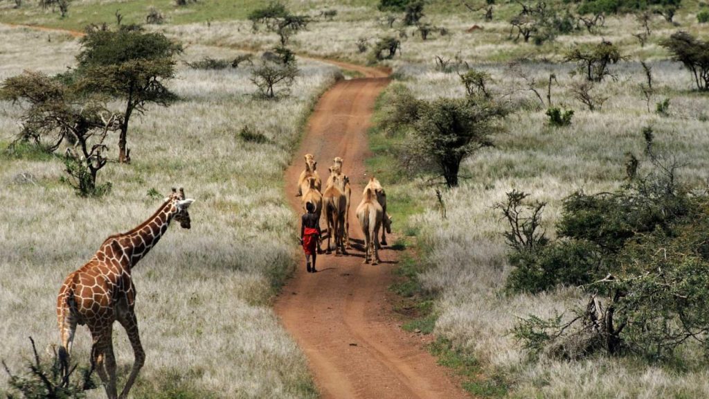 Why I loved Kenya’s Laikipia Plateau