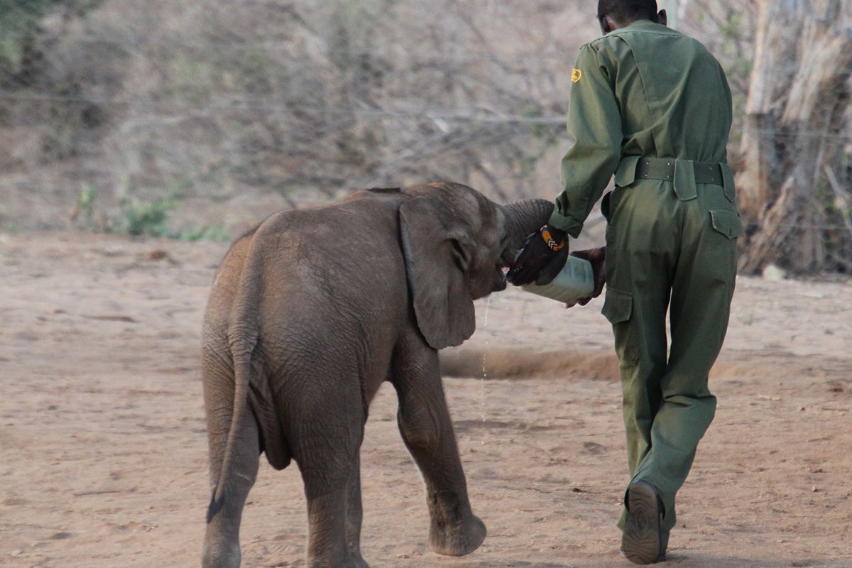 Exploring Kenya's Matthews Mountain range