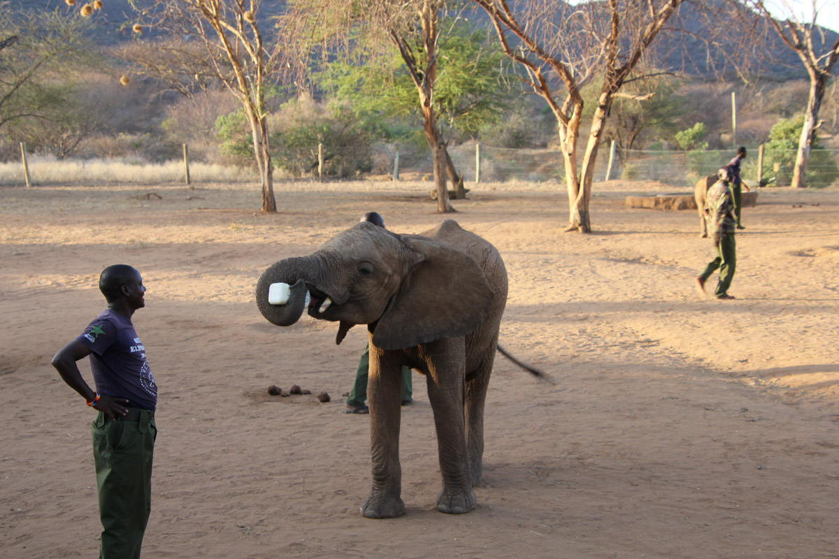 Exploring Kenya's Matthews Mountain range