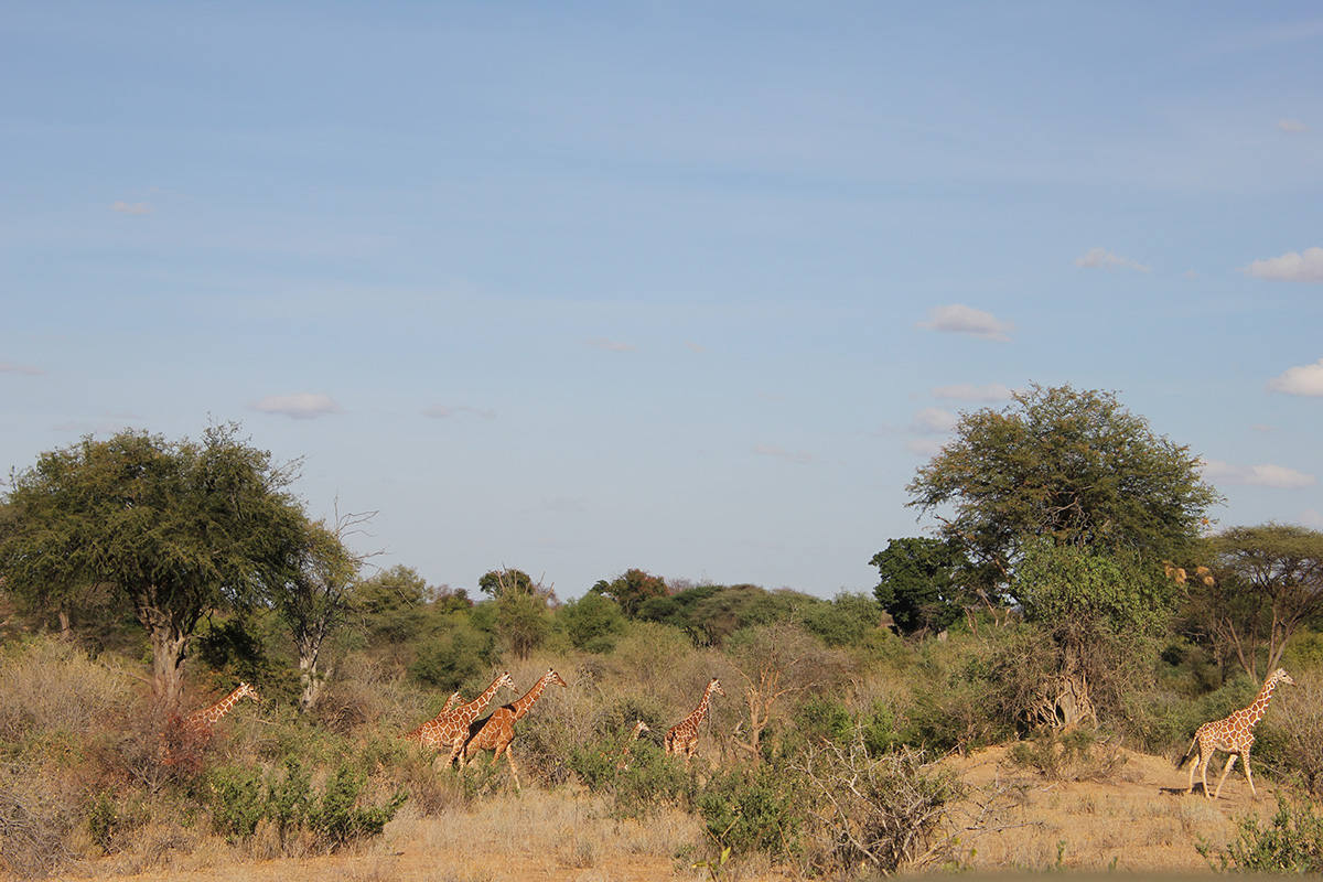 Exploring Kenya's Matthews Mountain Range