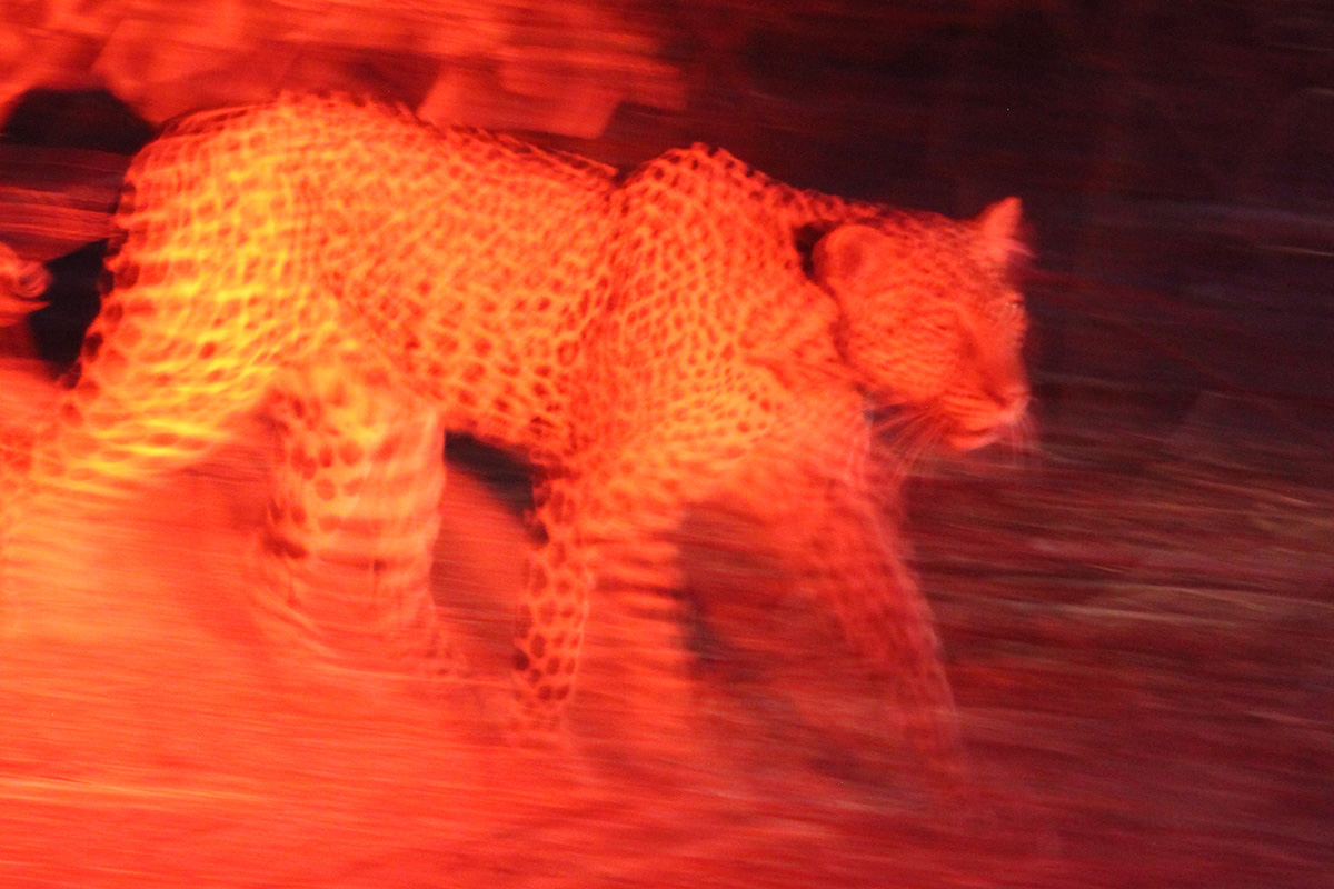 Exploring Kenya's Matthews Mountain range