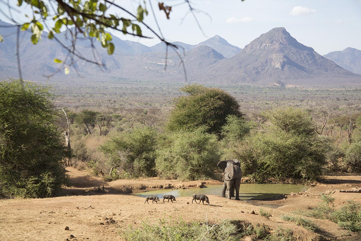 Exploring Kenya's Matthews Mountain Range