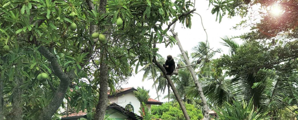 Getting off the beaten track near Galle in Sri Lanka