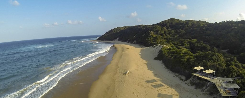 What is so special about Thonga Beach Lodge in South Africa?