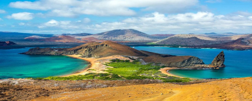 A guide to the wildlife of the Galápagos