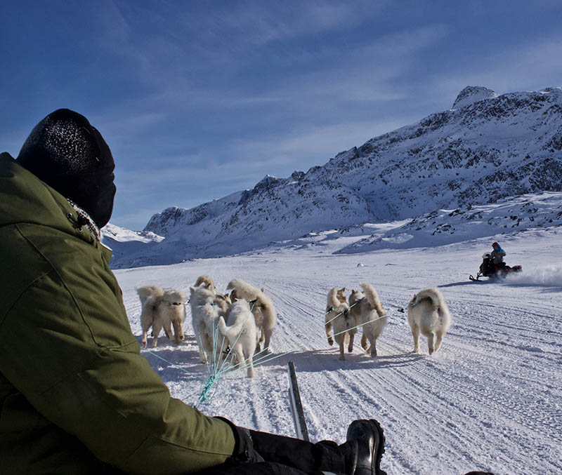April, Dog Sledding in Svalbard, polar region seasons