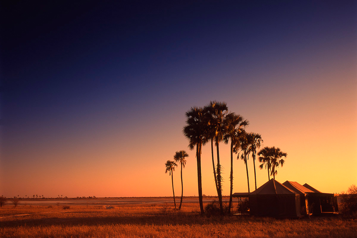Sunset at San Camp in Botswana