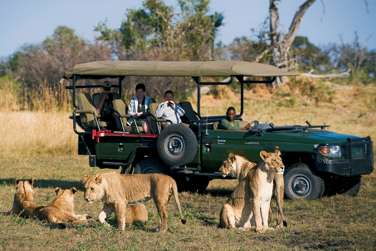 Game drives in The Linyanti Botswana