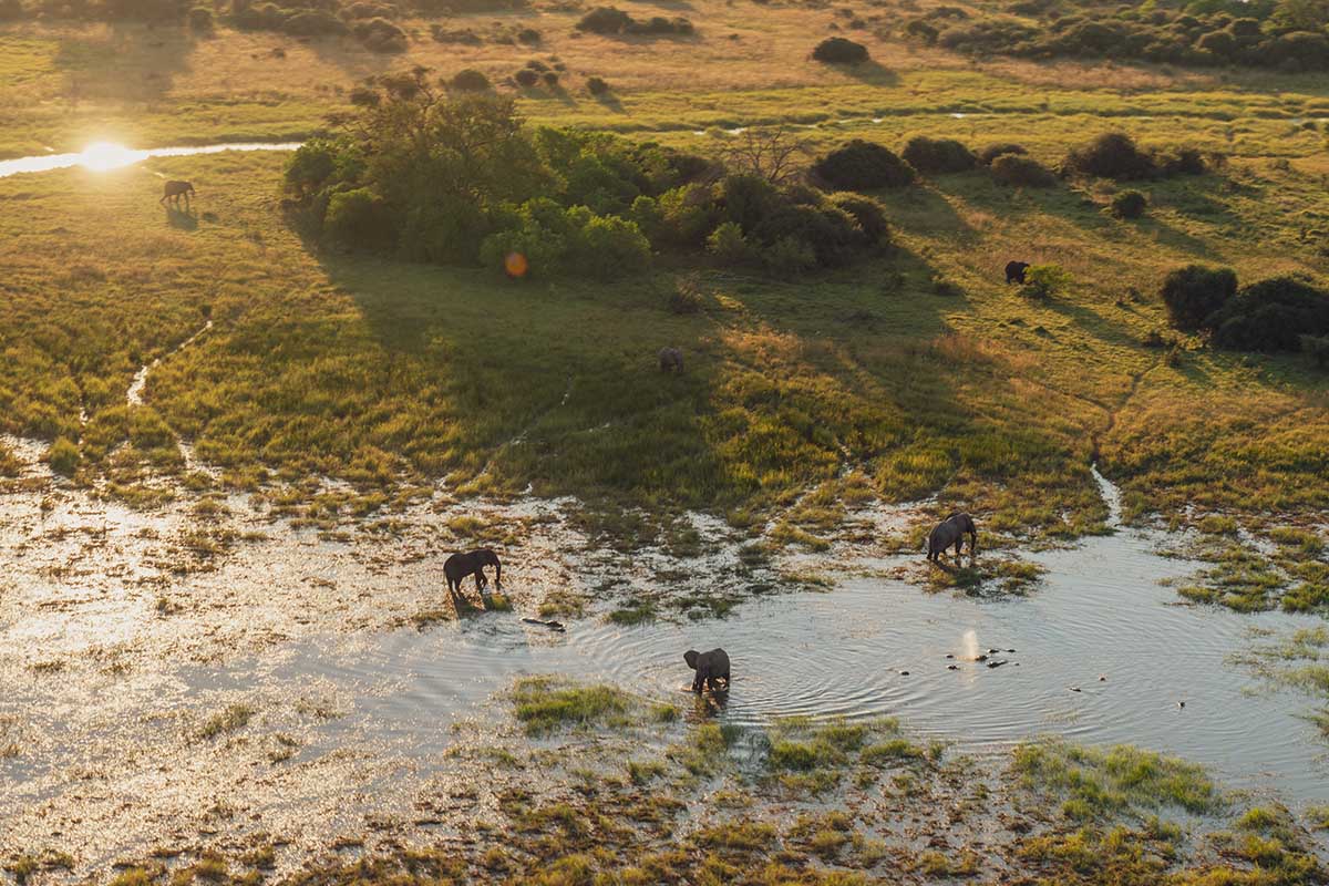 A journey through the Okavango Delta Capturing a Mobile Safari Expedition with cazenove+loyd