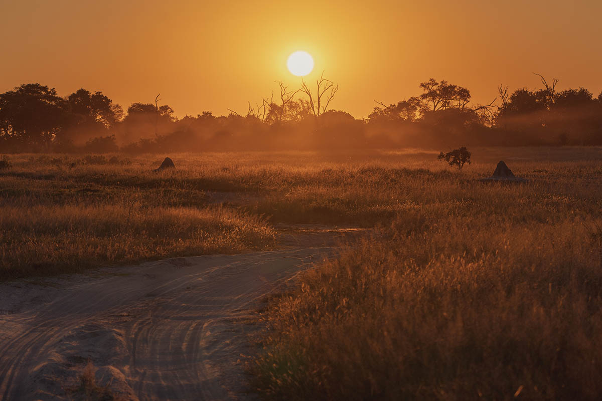 A journey through the Okavango Delta Capturing a Mobile Safari Expedition with cazenove+loyd