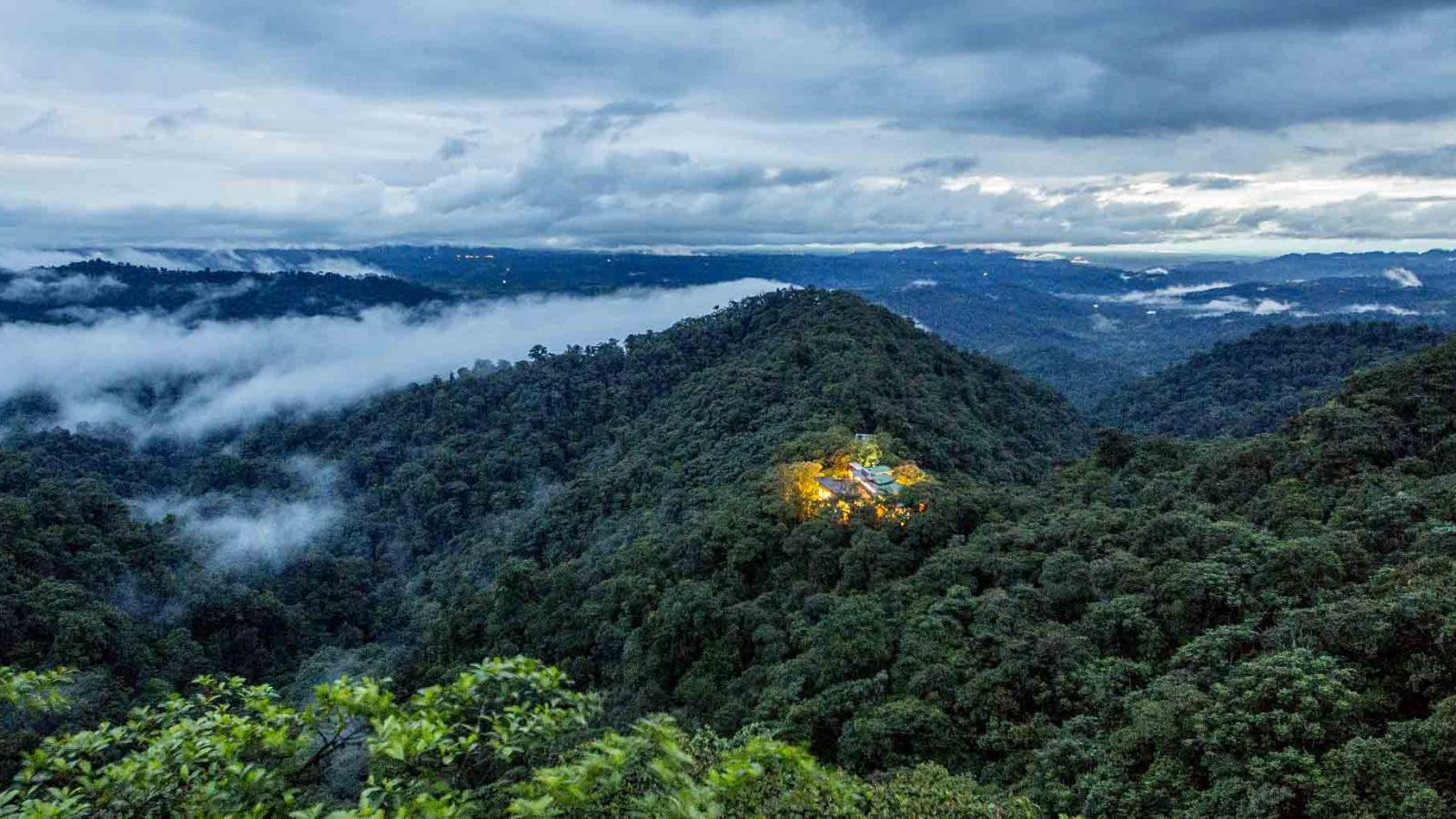 Cloud Forest revelations in Ecuador
