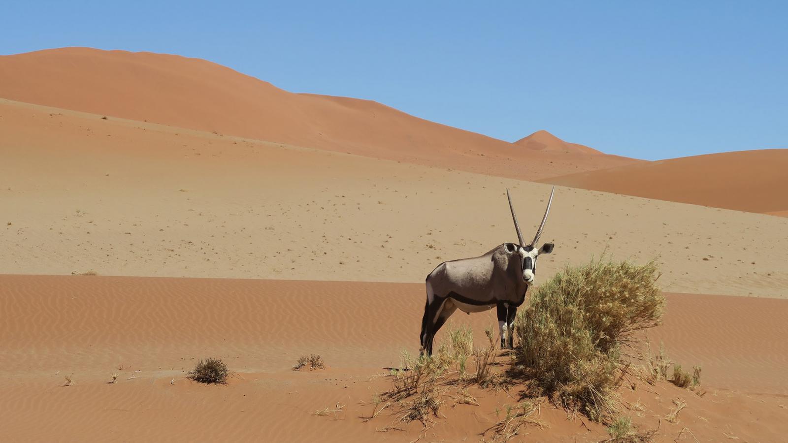 Cara’s 8-day Road Trip In Namibia