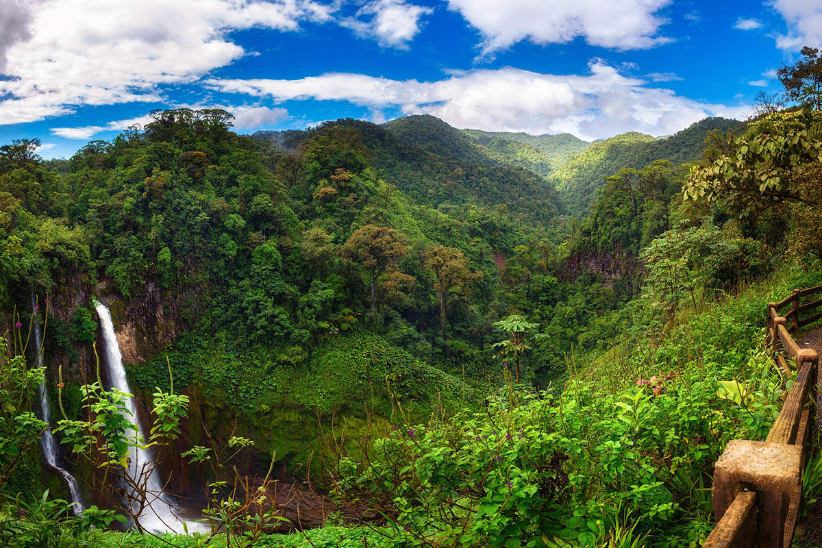 Costa Rica Wildlife, 10-day honeymoon in Costa Rica