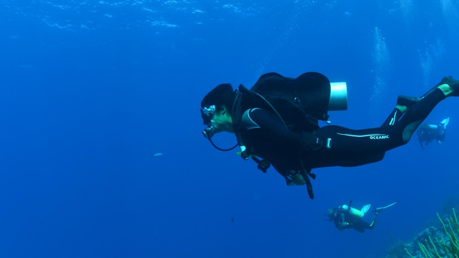 Diving into the Blue in Turks+Caicos