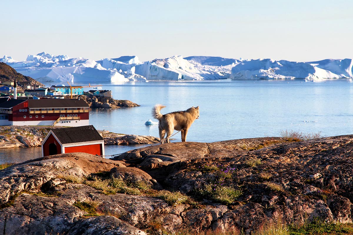 Disco Bay, discover Greenland