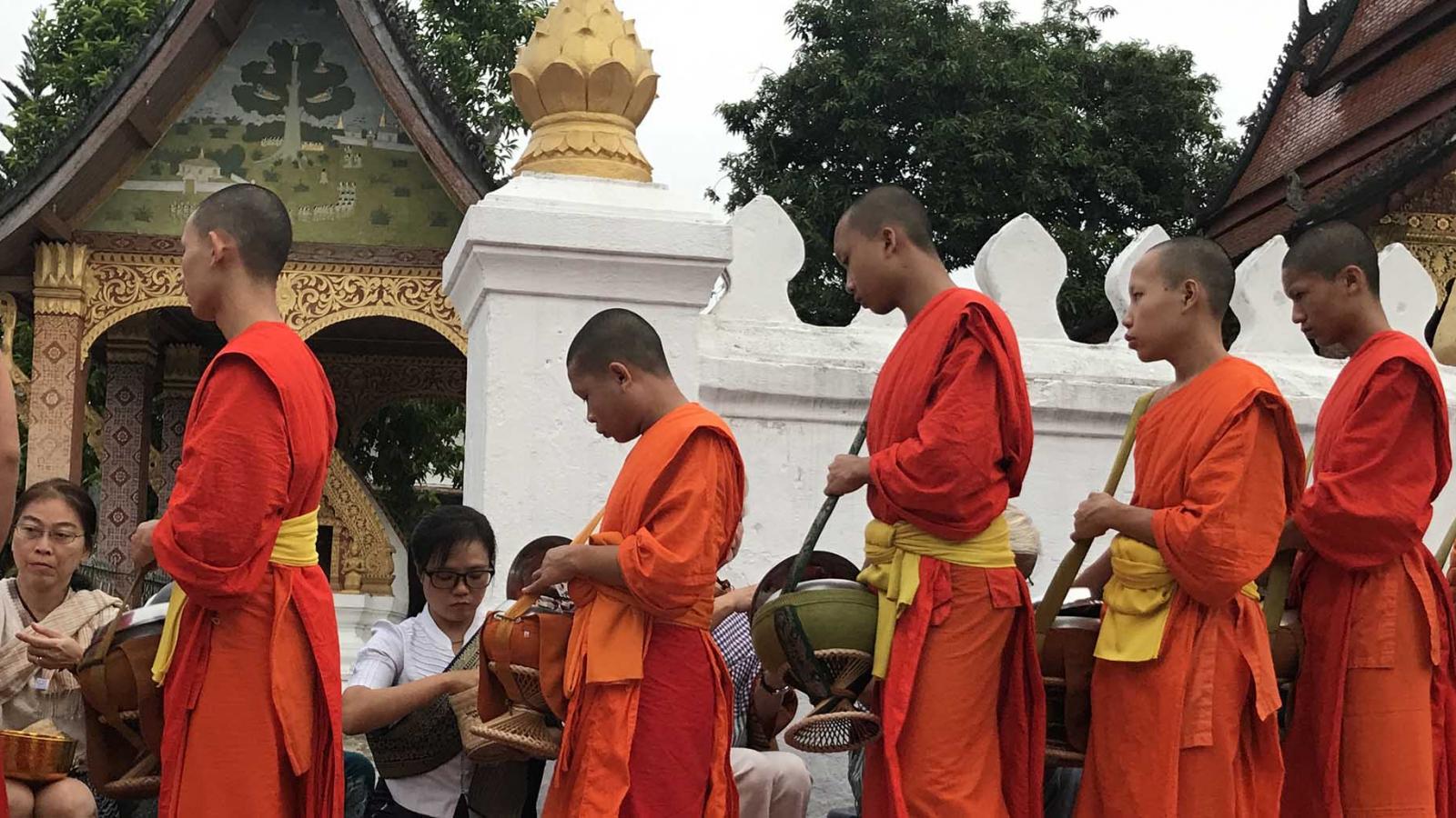 Experience early morning alms giving in Luang Prabang