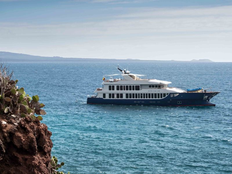 Exploring the Galapagos on a luxury cruise ship