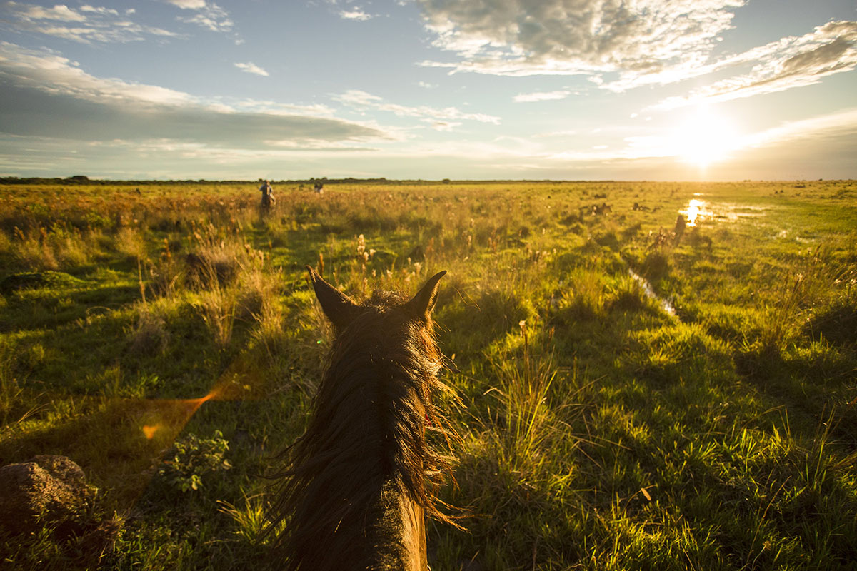 Exploring Corocora Wildlife Camp by horseback, Los Llanos, Colombia | Extraordinary trips by private jet | cazenove+loyd
