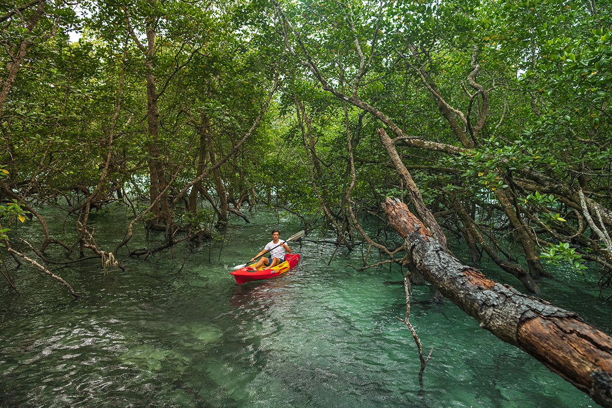 Kayaking through rainforest on Wa Ale, Maynmar private island