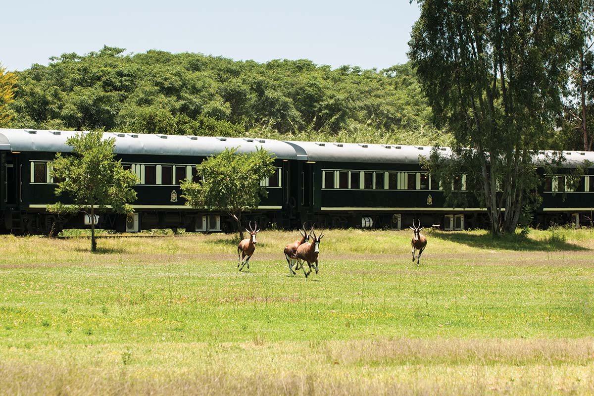 Rovos Rail Train Journey, South Africa | Luxury Train Journey | Luxury Train Best Holiday Ideas