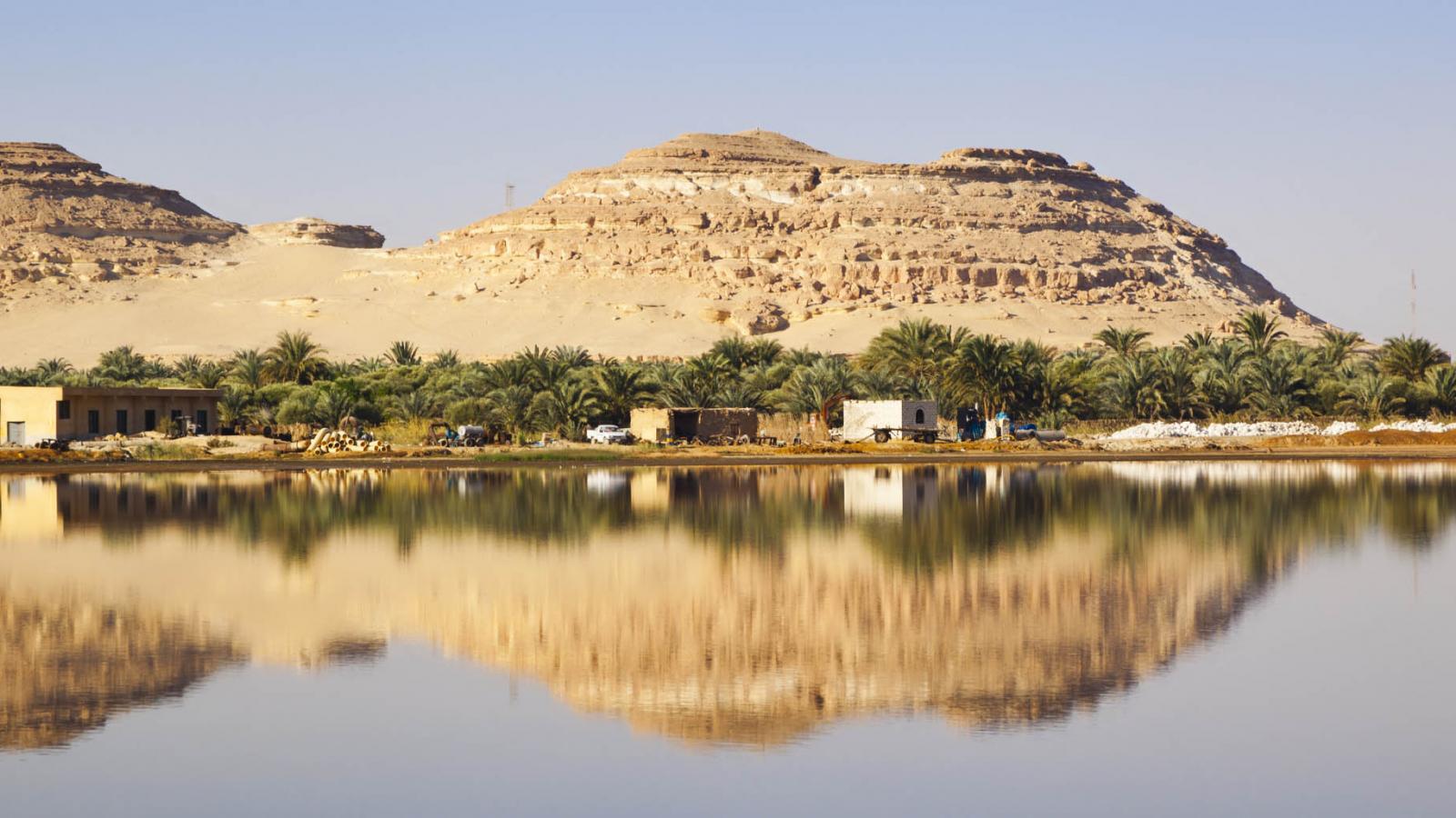 Siwa Oasis: Egypt's little-explored gem