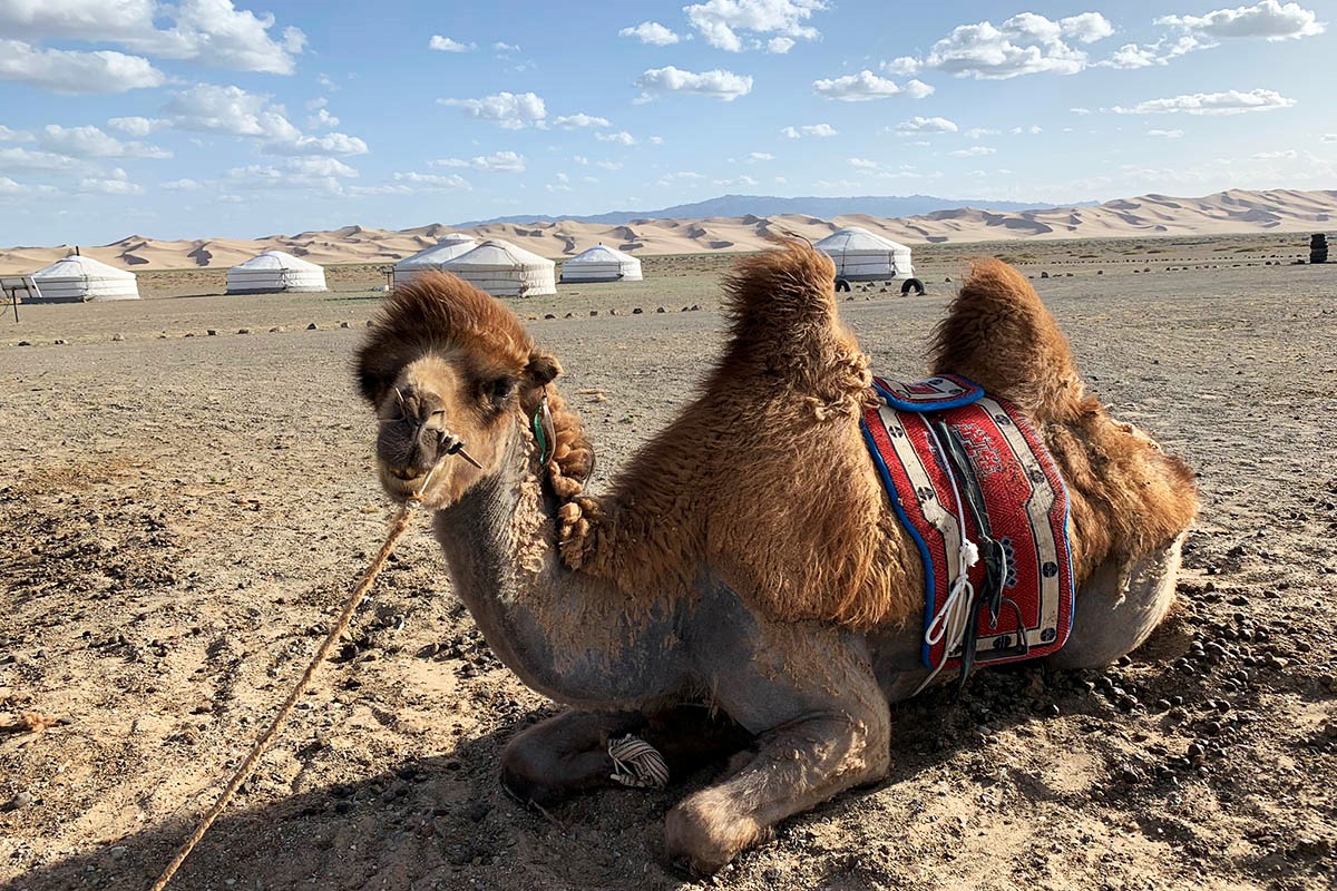 Three of the best experiences in the South Gobi Desert Mongolia