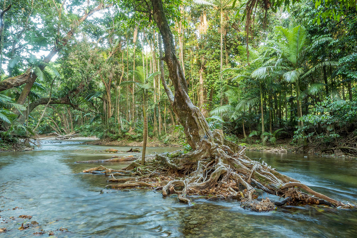 Tropical North Queensland