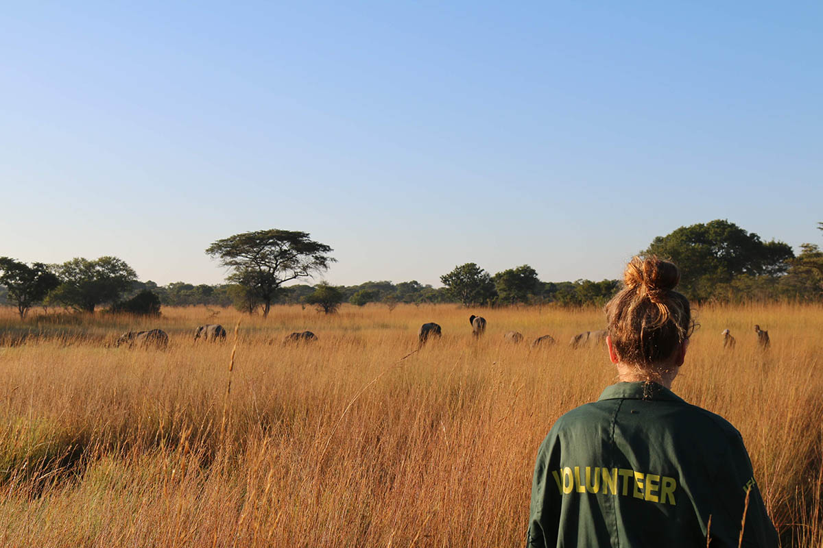 Volunteer Wildlife Conservation Africa, c+l a responsible travel company