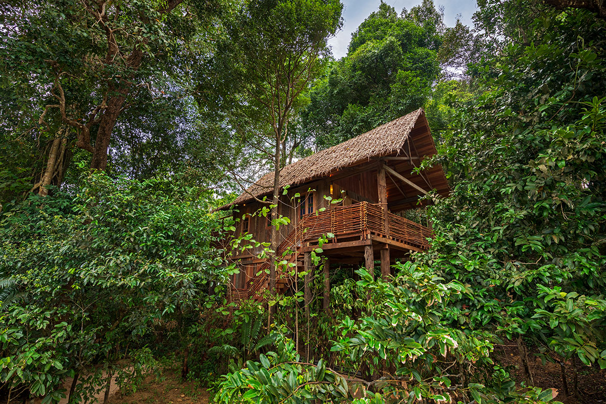 Wa Ale Island, Jungle Tree-houses