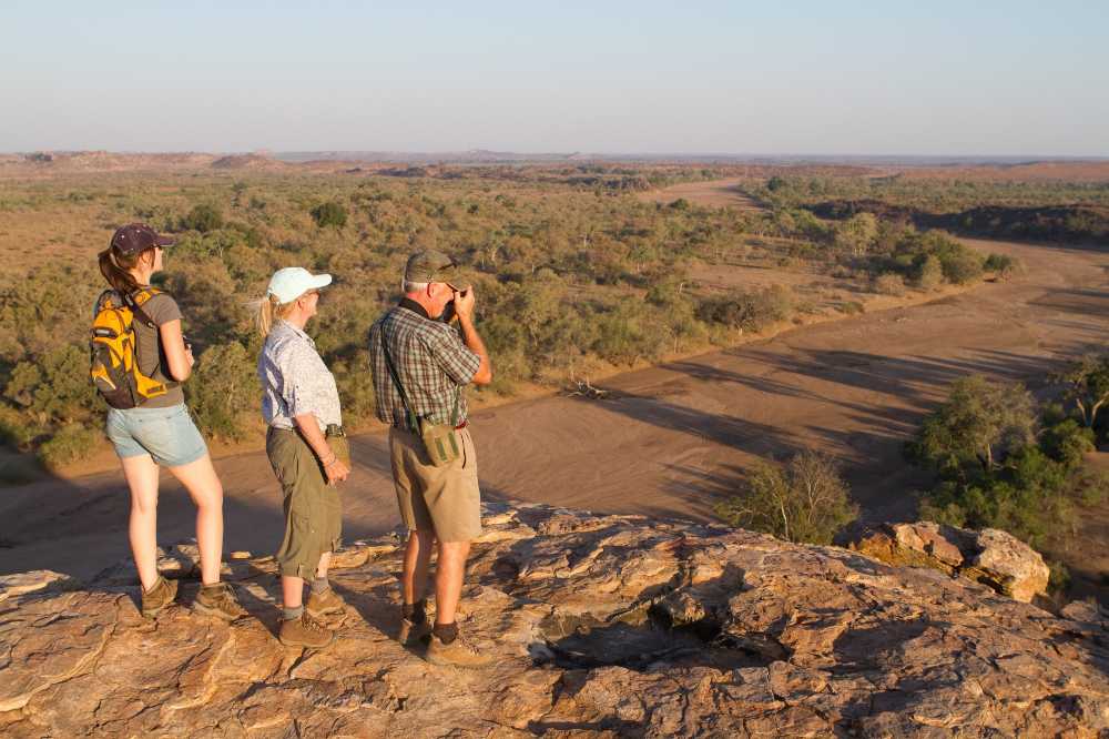 A walking safari guide by a safari guide: 8 reasons to get out on foot