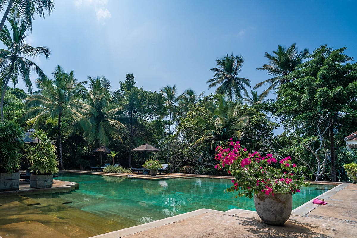 Why House Pool Galle Sri Lanka