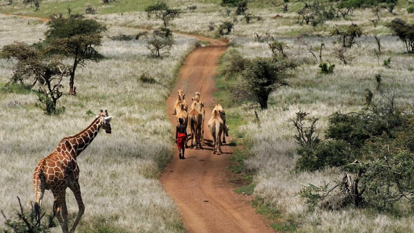 Why I Loved Kenya’s Laikipia Plateau