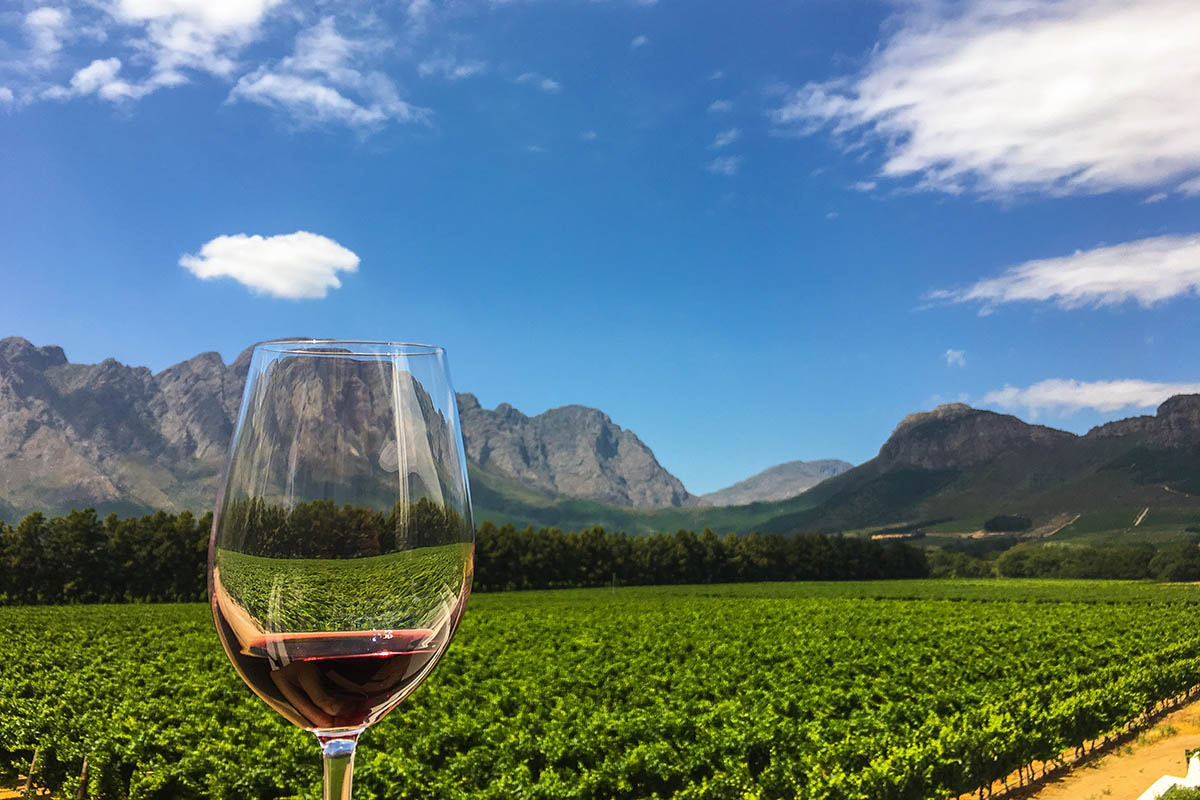 Wine Tasting in the Cape Winelands, South Africa