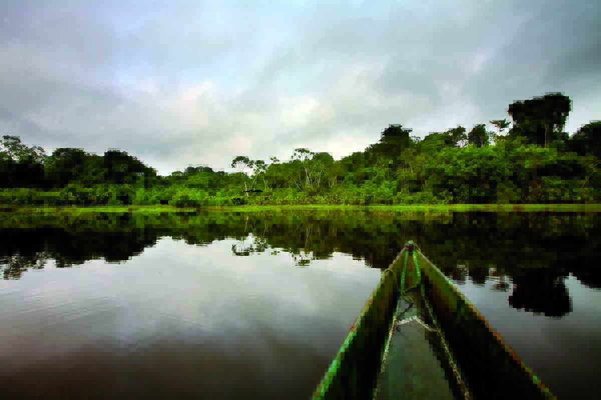 Amazon Rainforest Ecuador