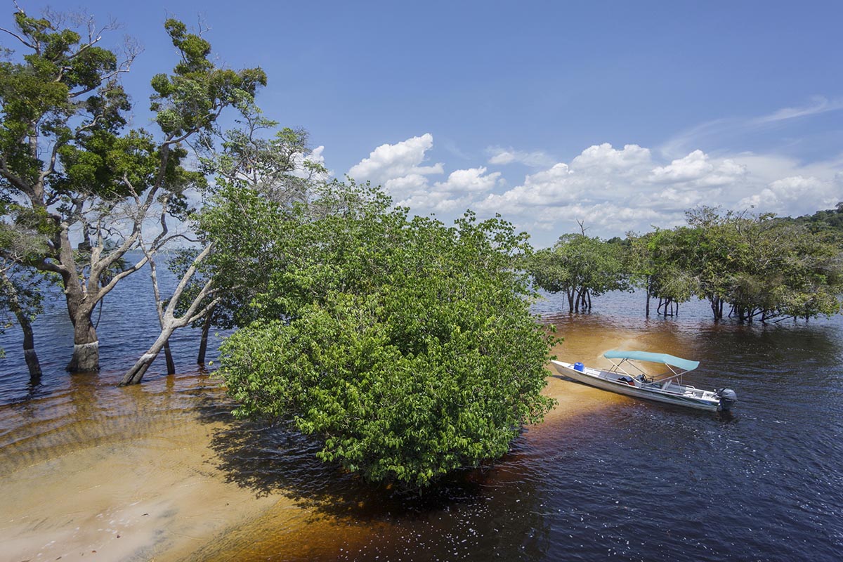 Brazil Amazon Boat Experience
