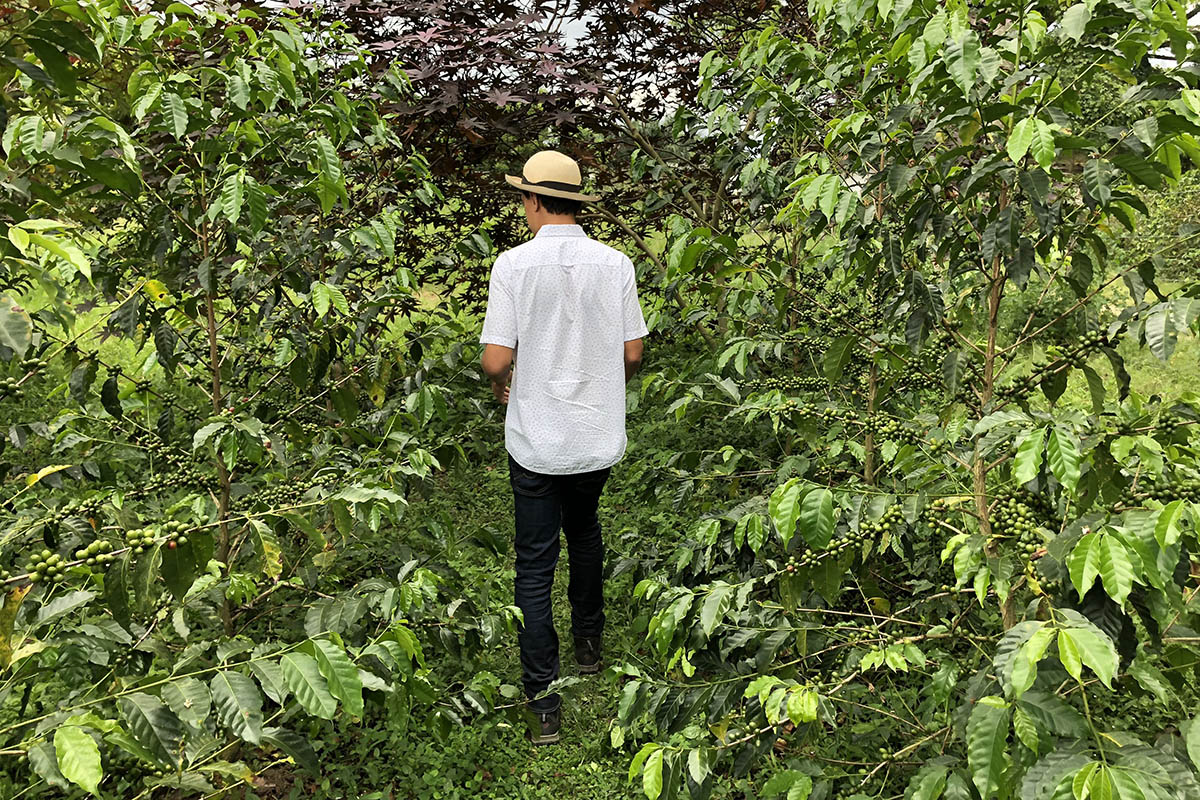Sarah's experience of Colombia's coffee region