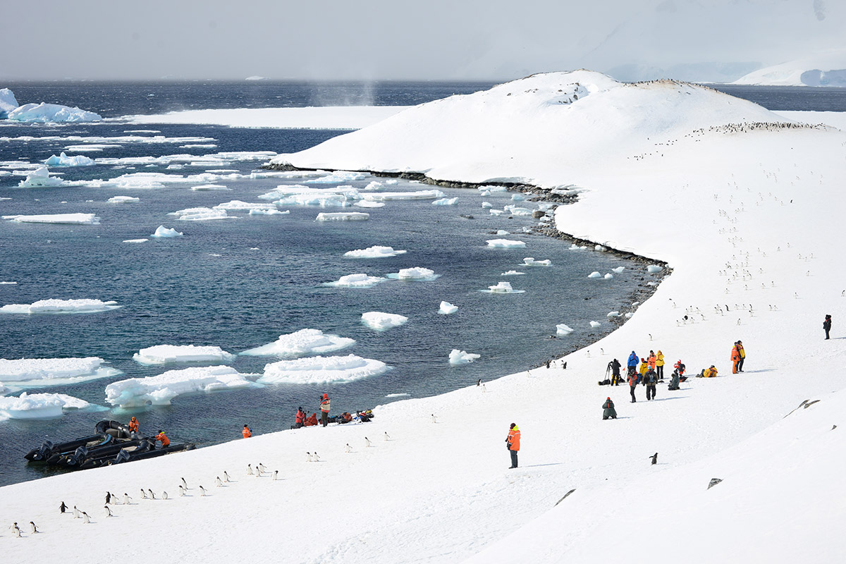 Why we recommend the Island Sky for the ultimate Antarctic adventure