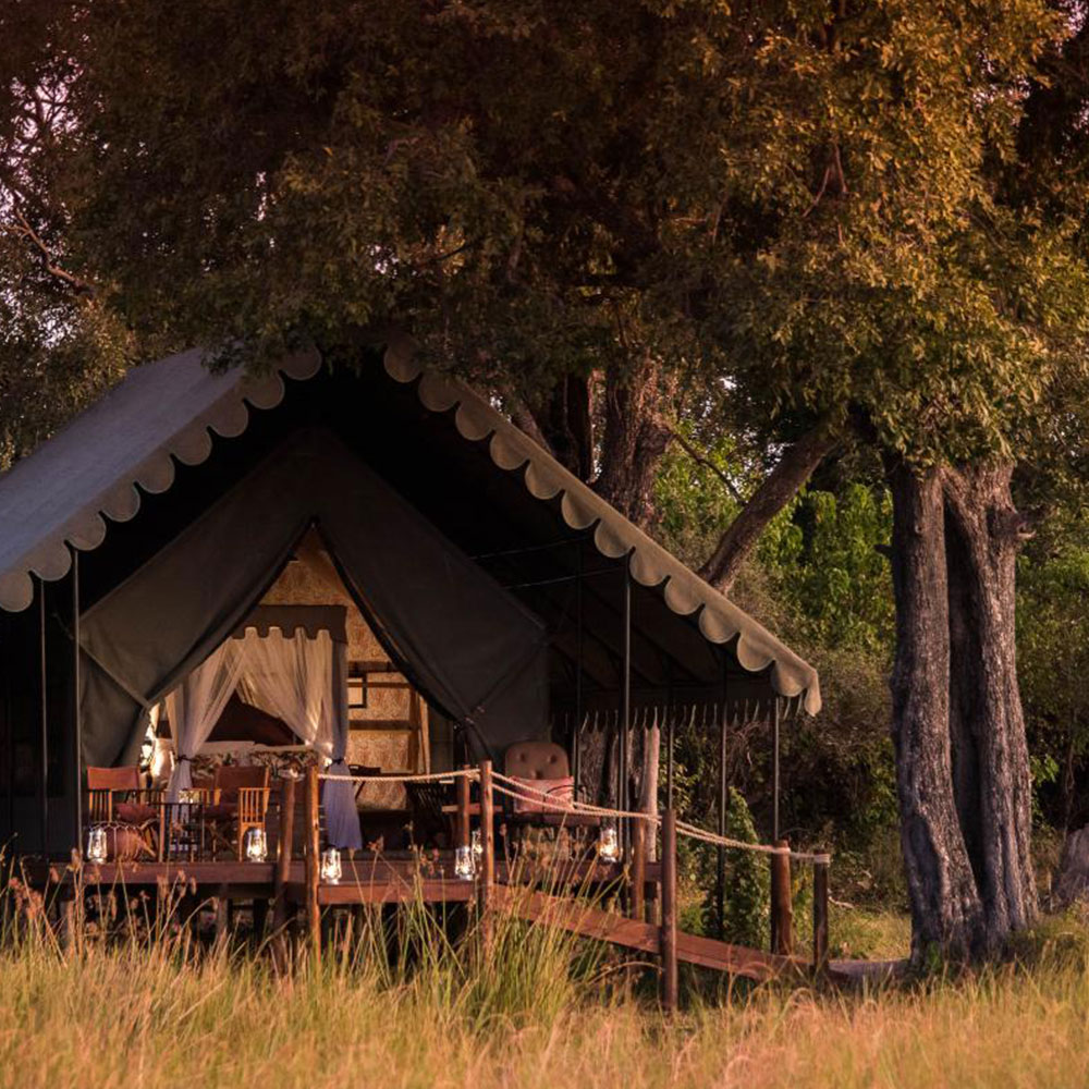 Duke's camp: safari lodges