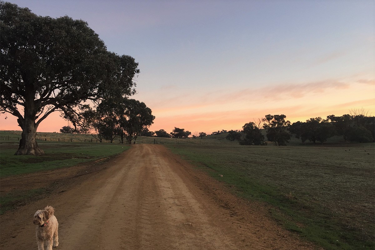 Experiencing farm life in the Australian outback