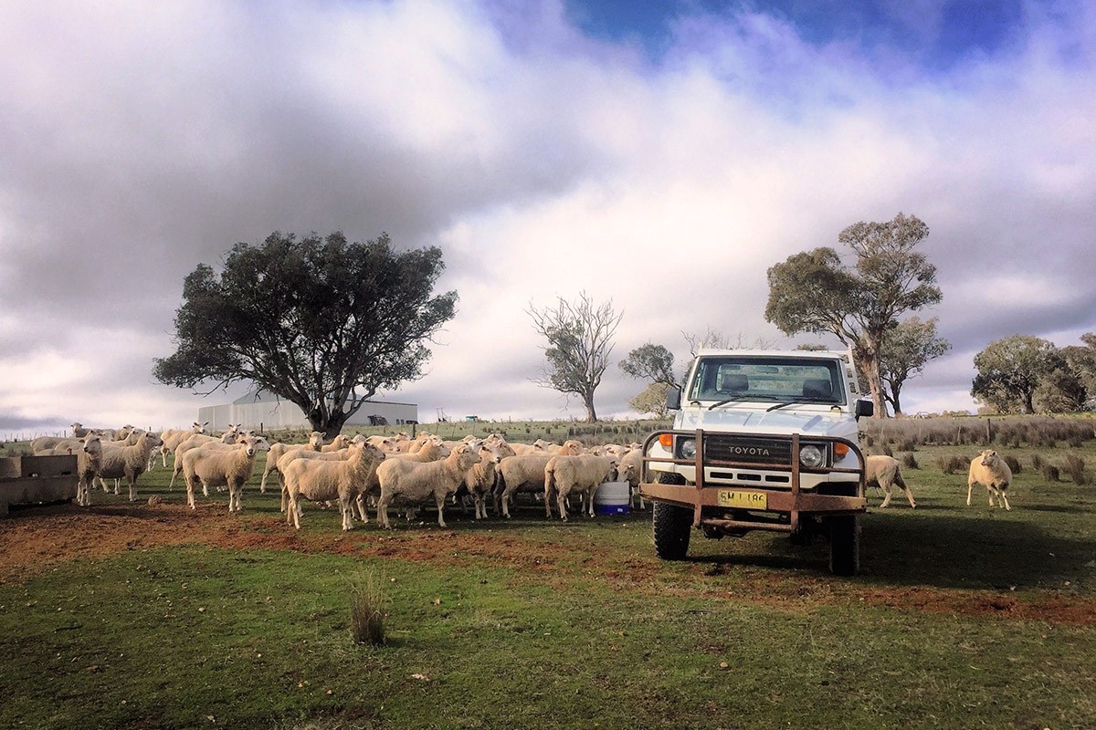 Best places to visit in Australia include an experience of farm life in the country's outback