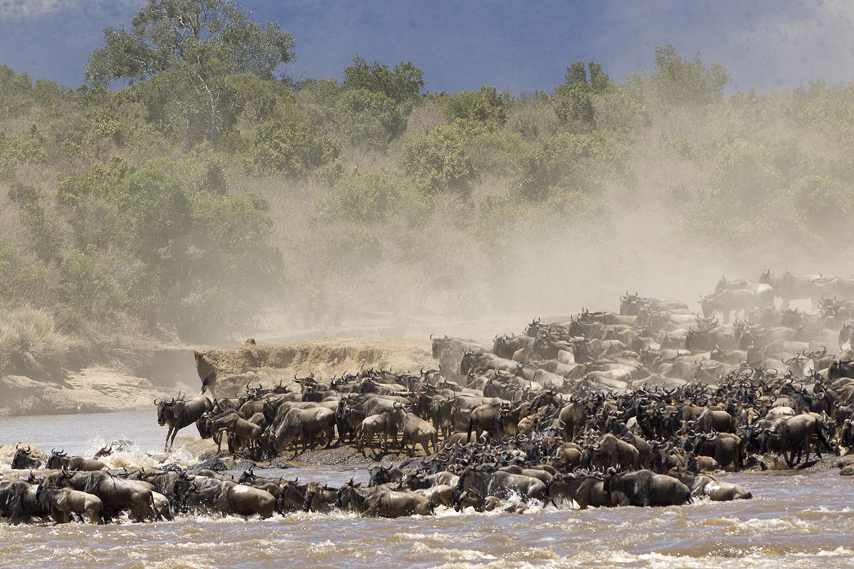 Serengeti lodges and camps: experience the great migration