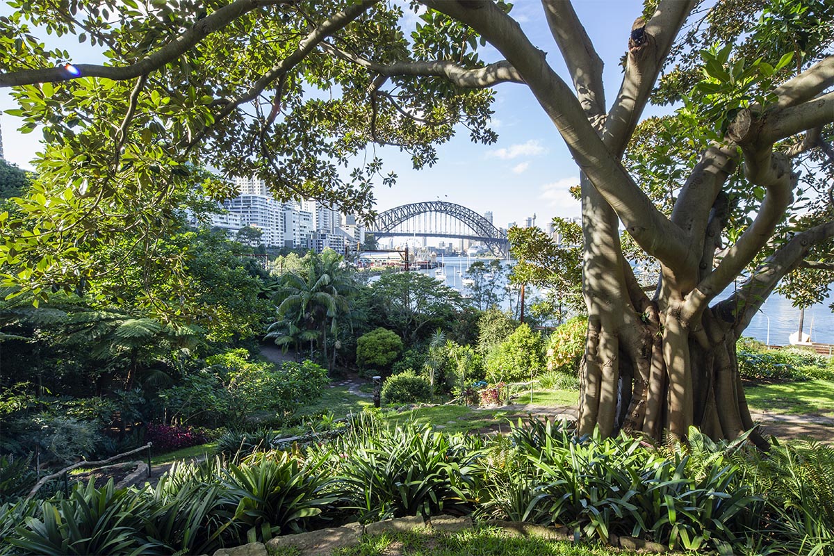 How to spend 48 hours in Sydney