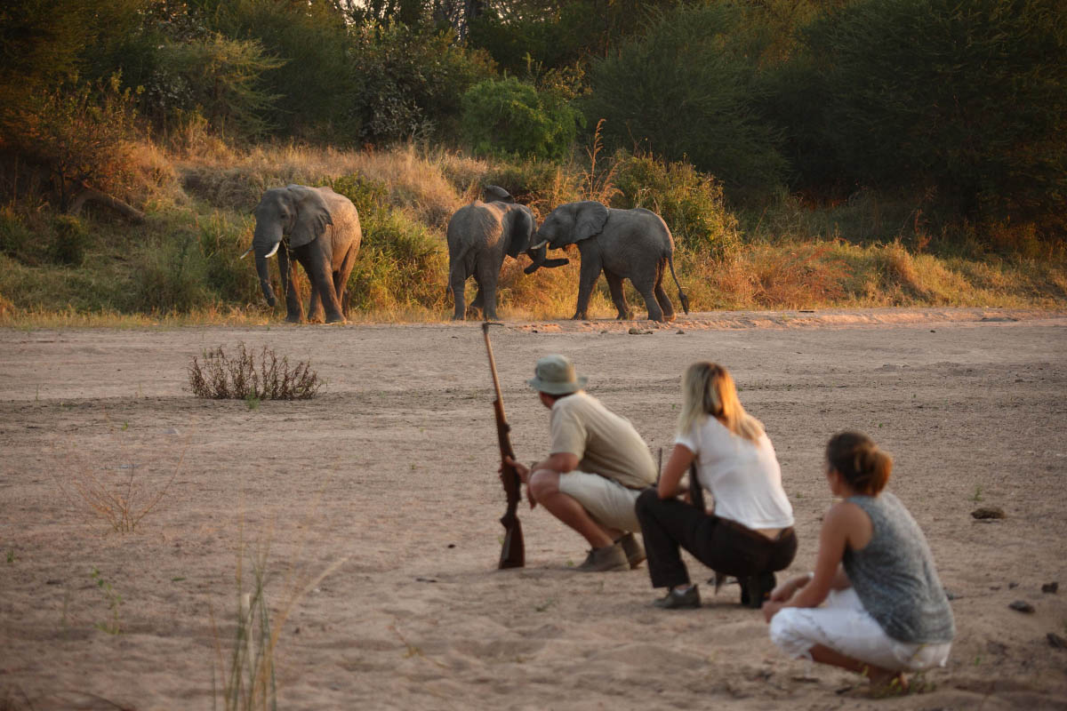What is the allure of Ruaha National Park?