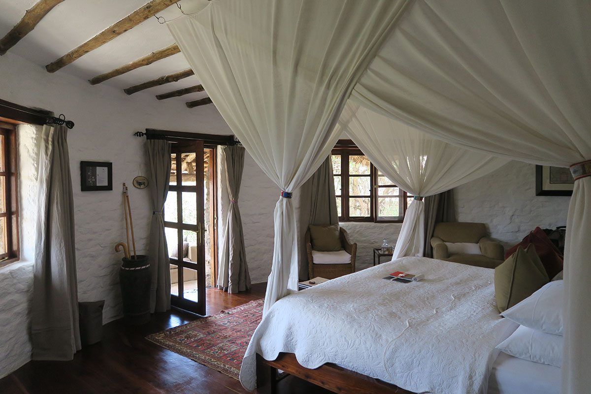 Lodge or tented camp: where should you stay in the Serengeti?